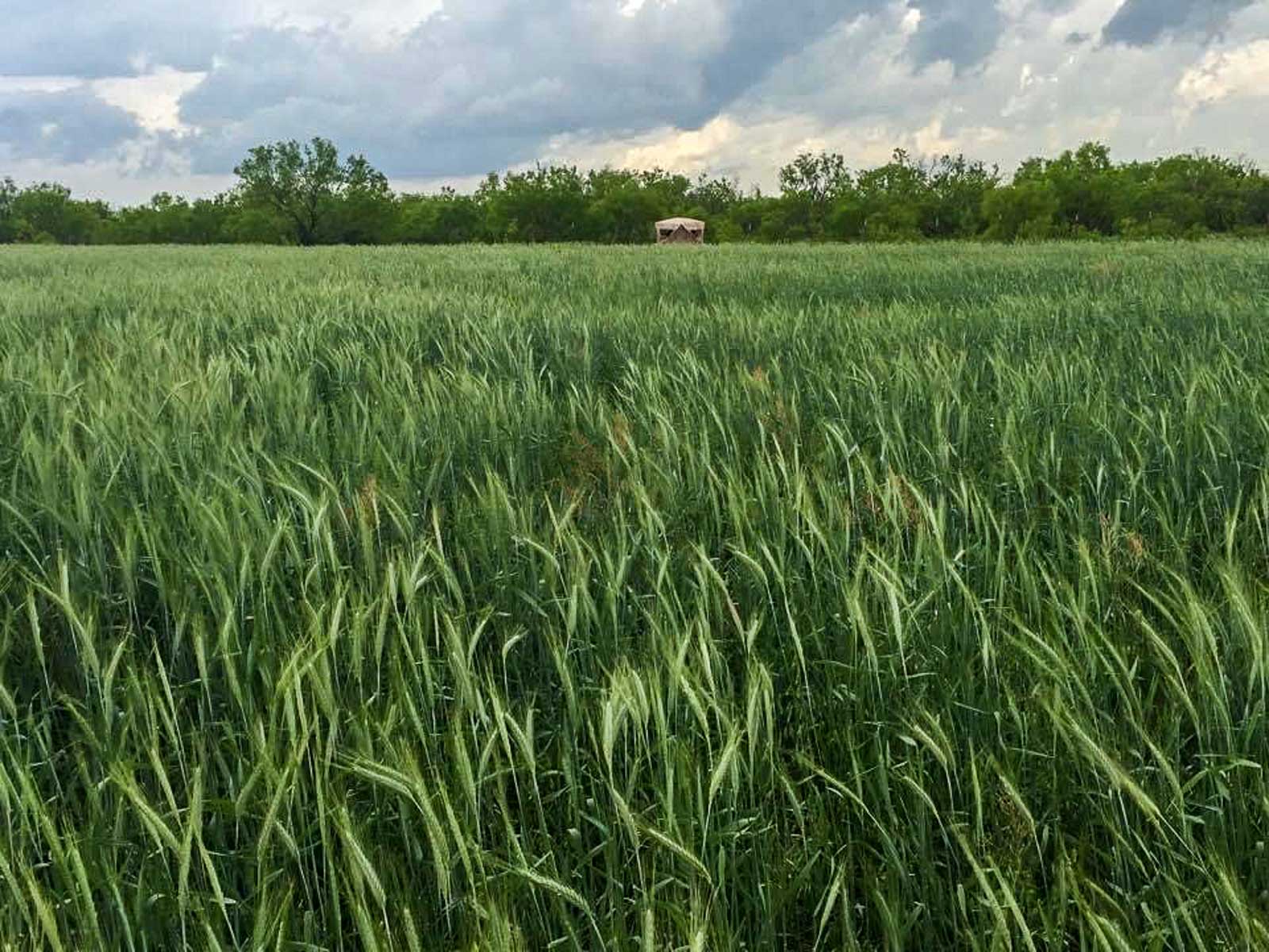 Claterbaugh Farm property picture 23 of 50