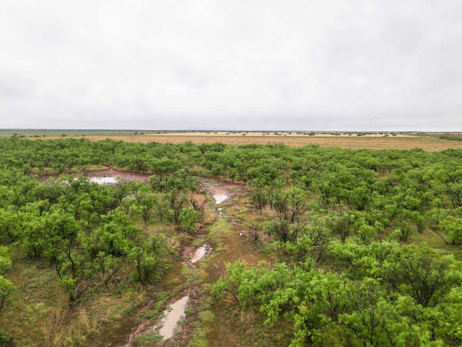 Claterbaugh Farm property picture 37 of 50