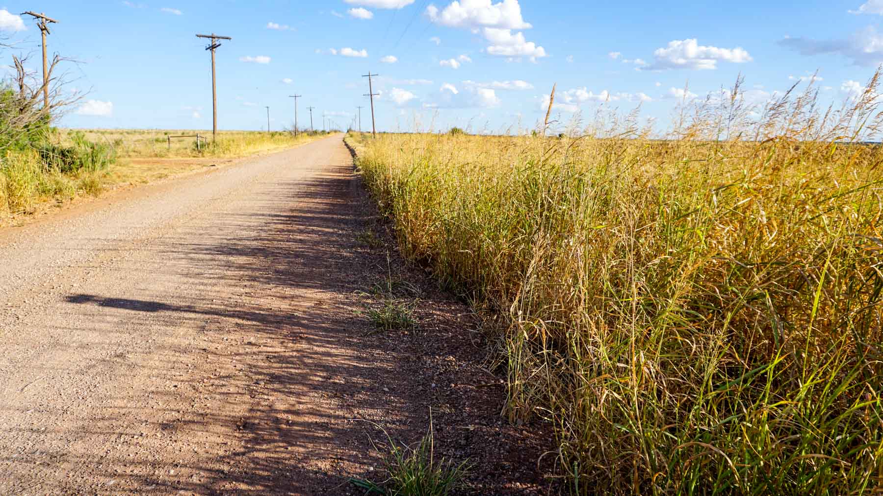 Claterbaugh Farm property picture 15 of 50