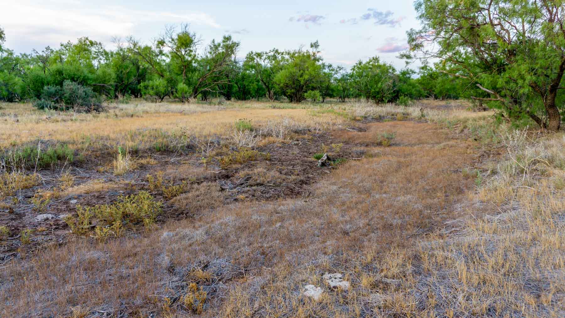 Claterbaugh Farm property picture 38 of 50