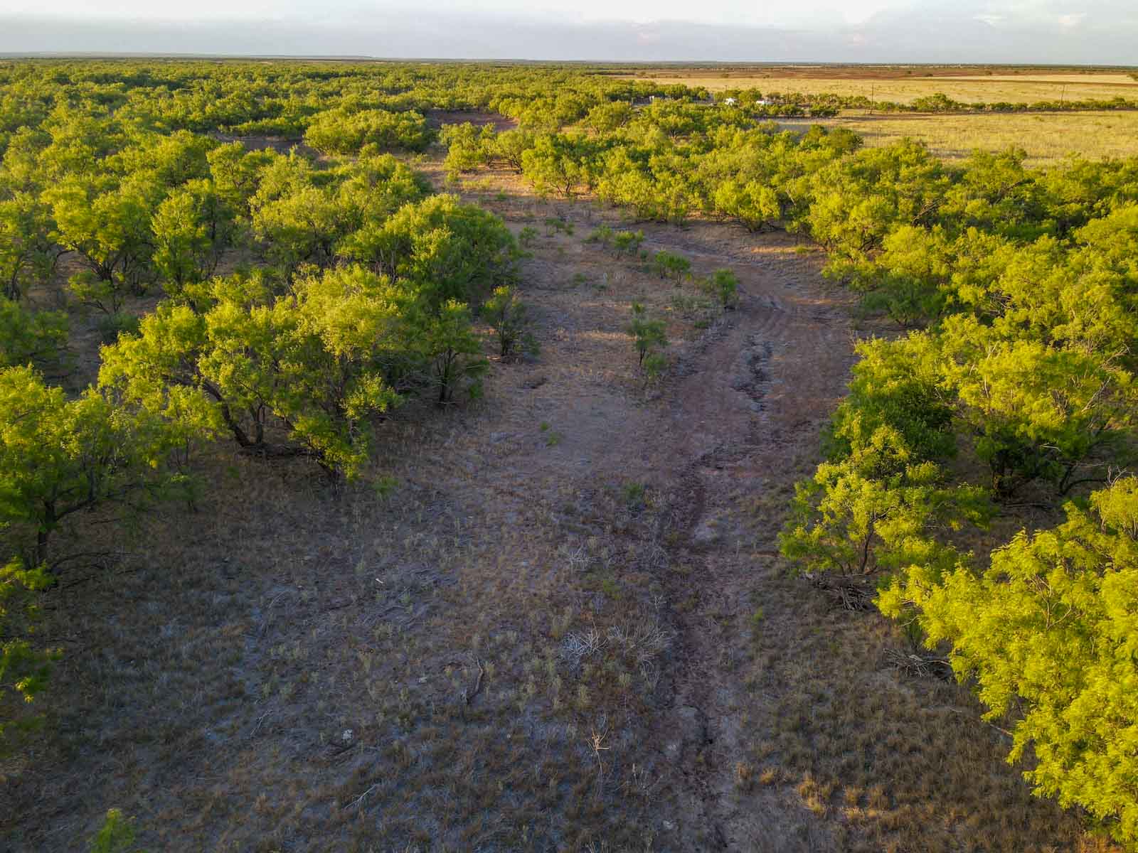 Claterbaugh Farm property picture 27 of 50
