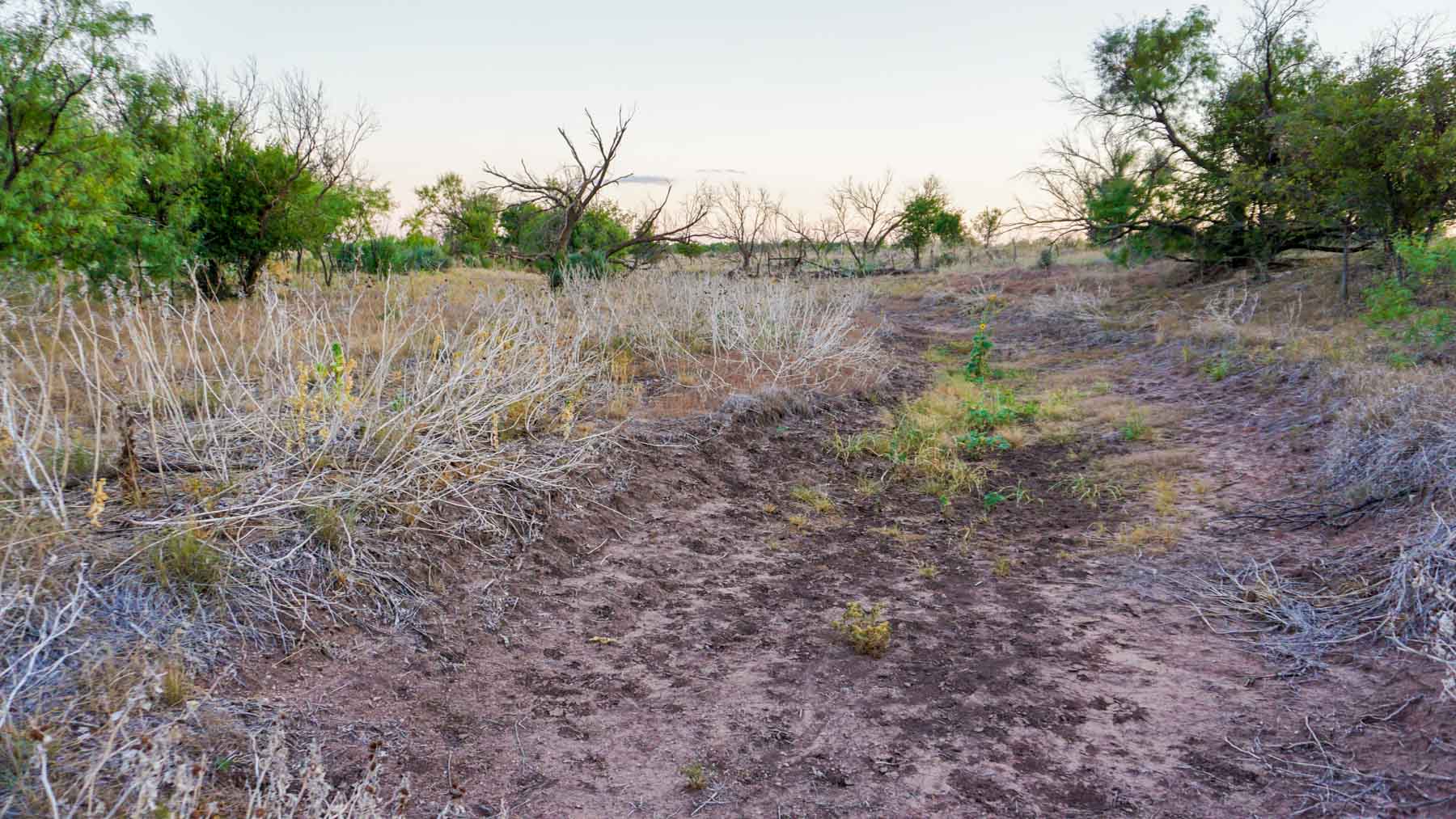 Claterbaugh Farm property picture 43 of 50
