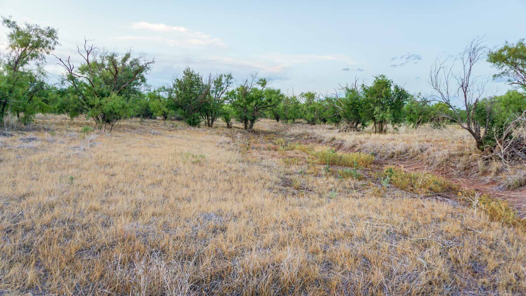 Claterbaugh Farm property picture 45 of 50