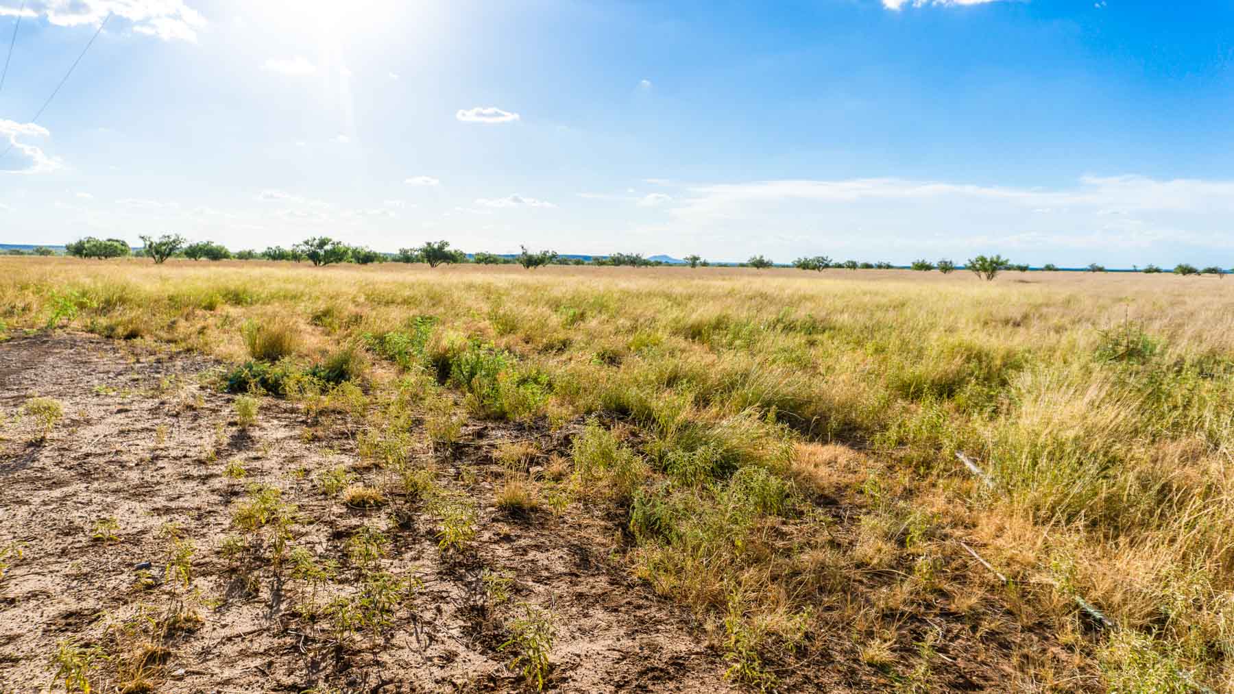Claterbaugh Farm property picture 20 of 50