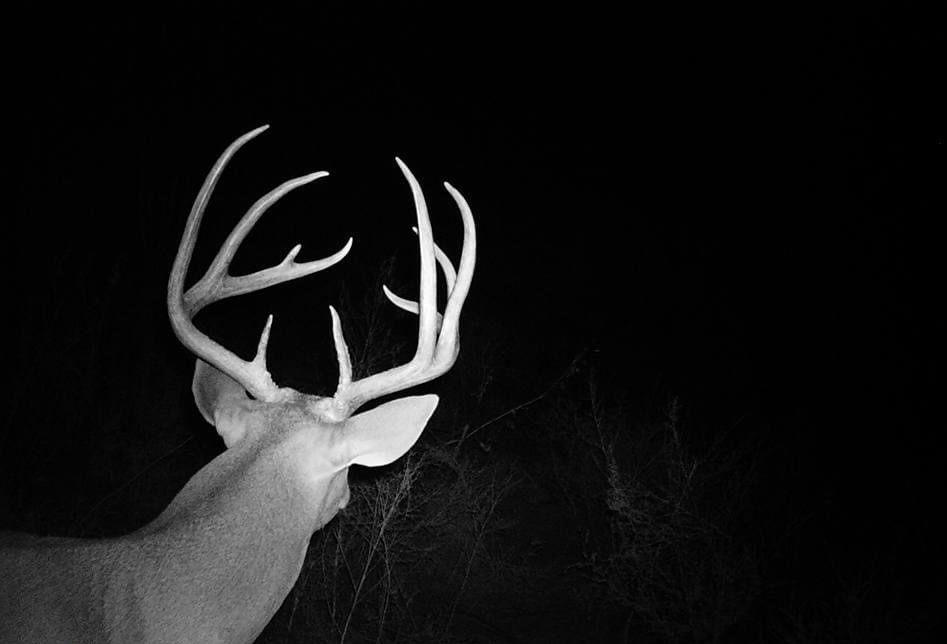 Claterbaugh Farm property picture 6 of 50