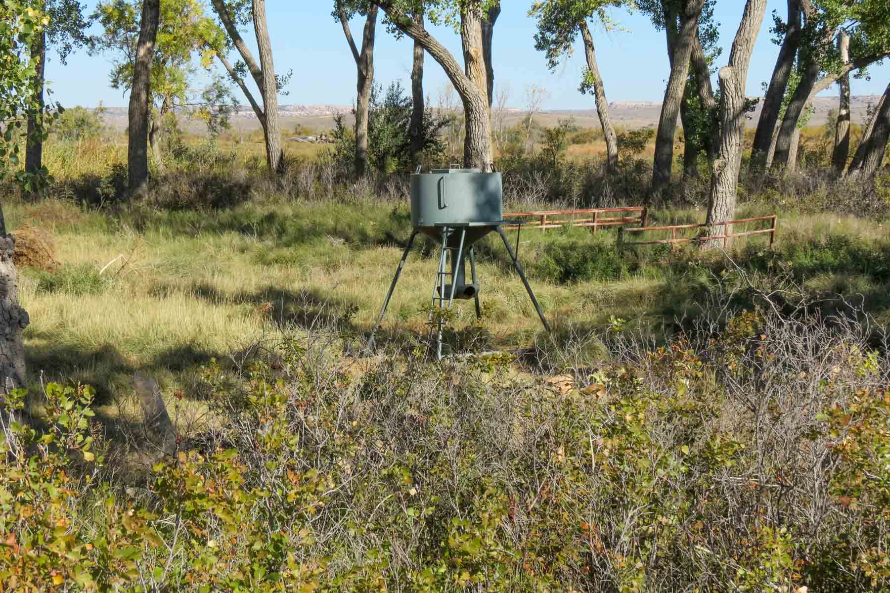 Mesa Vista East Division property picture 14 of 38