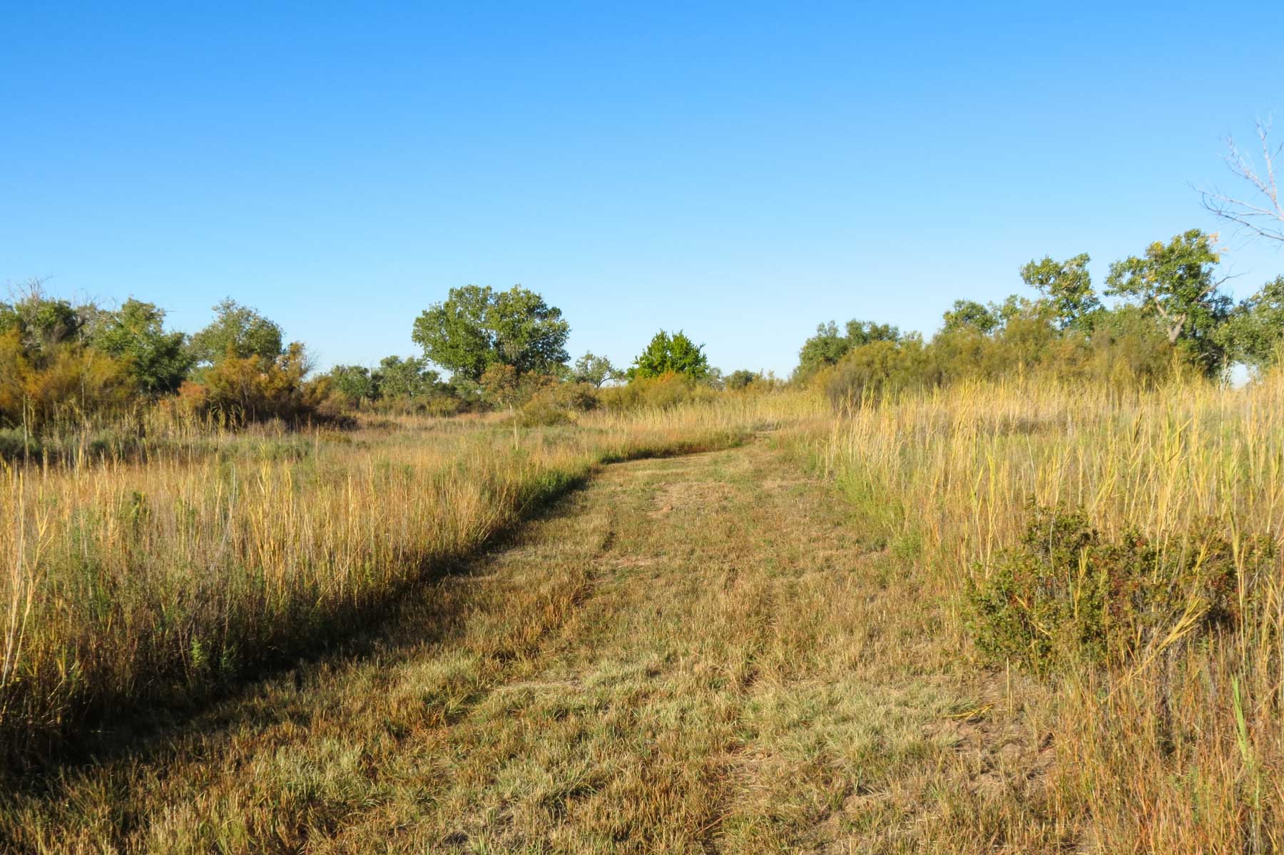 Mesa Vista East Division property picture 17 of 38