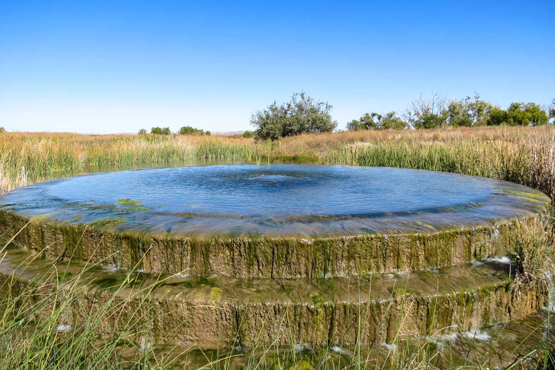 Mesa Vista East Division property picture 30 of 38