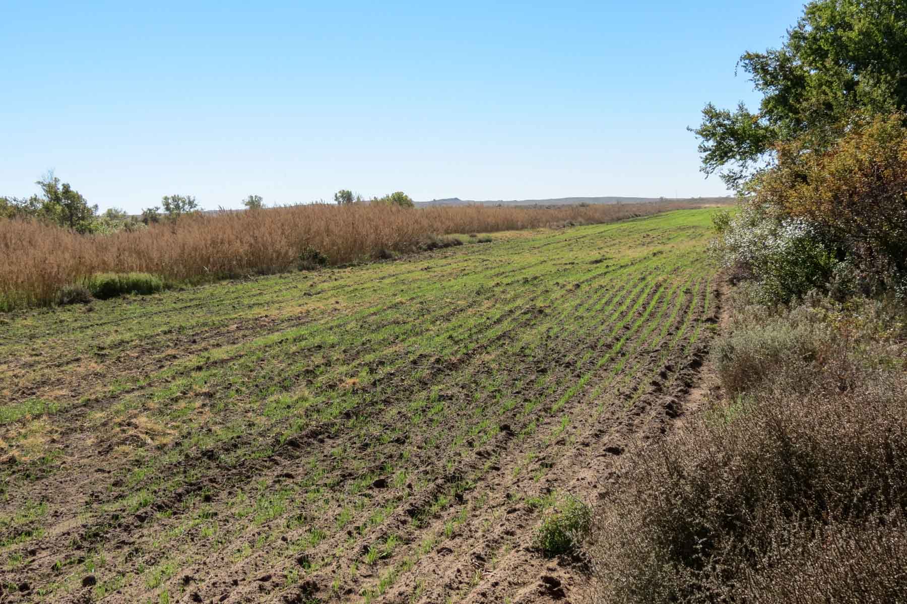 Mesa Vista East Division property picture 32 of 38