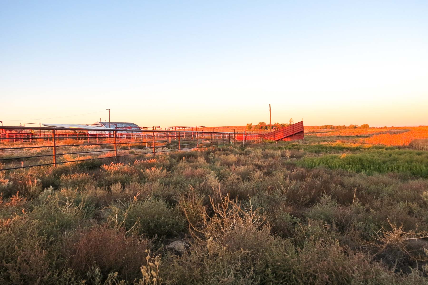 Mesa Vista East Division property picture 24 of 38