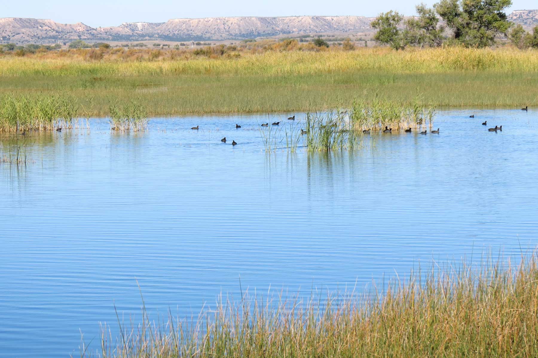 Mesa Vista East Division property picture 18 of 38