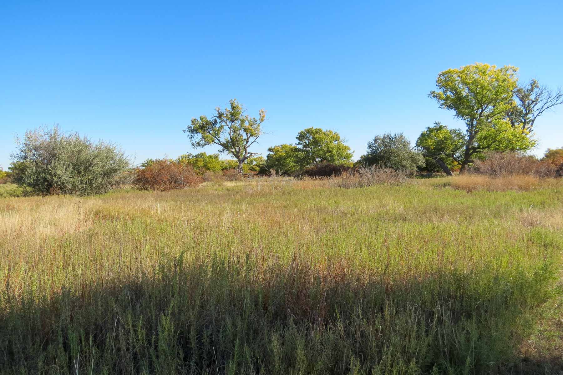 Mesa Vista East Division property picture 35 of 38