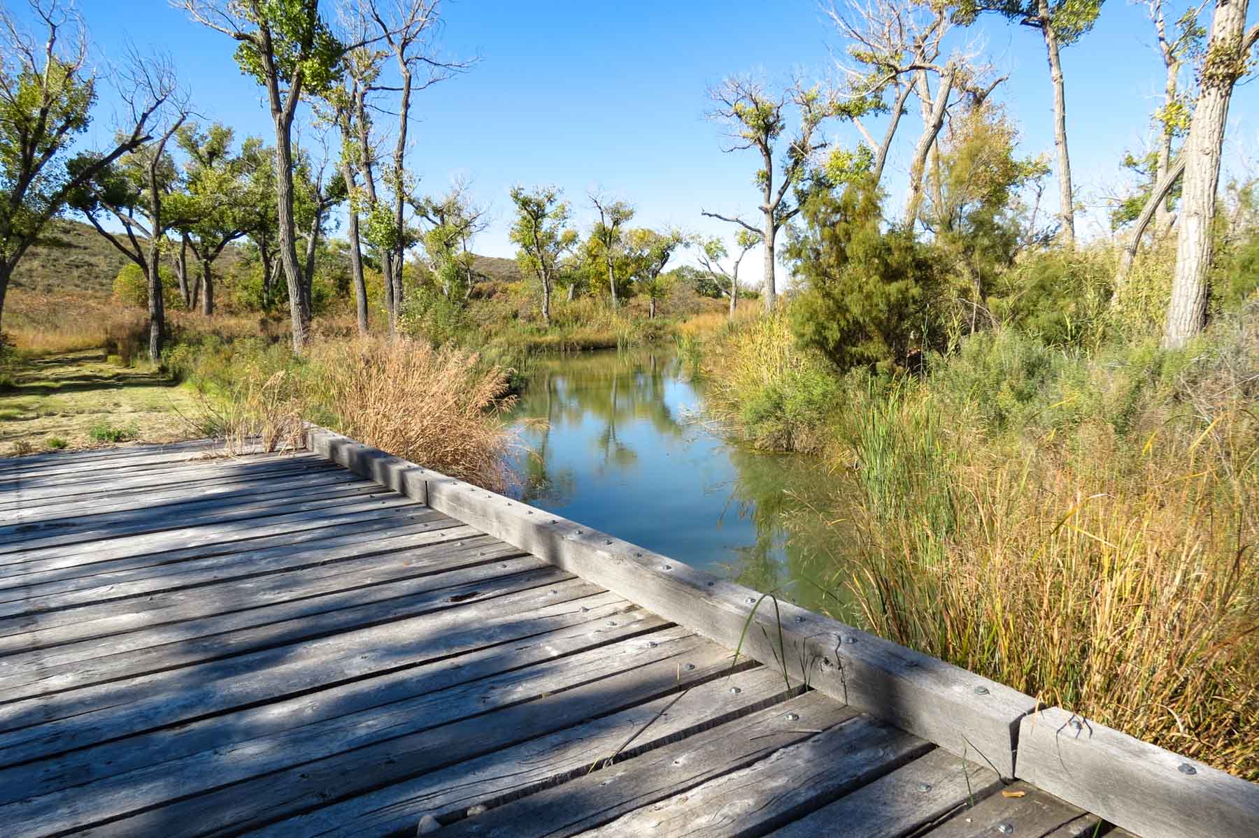 Mesa Vista East Division property picture 5 of 38