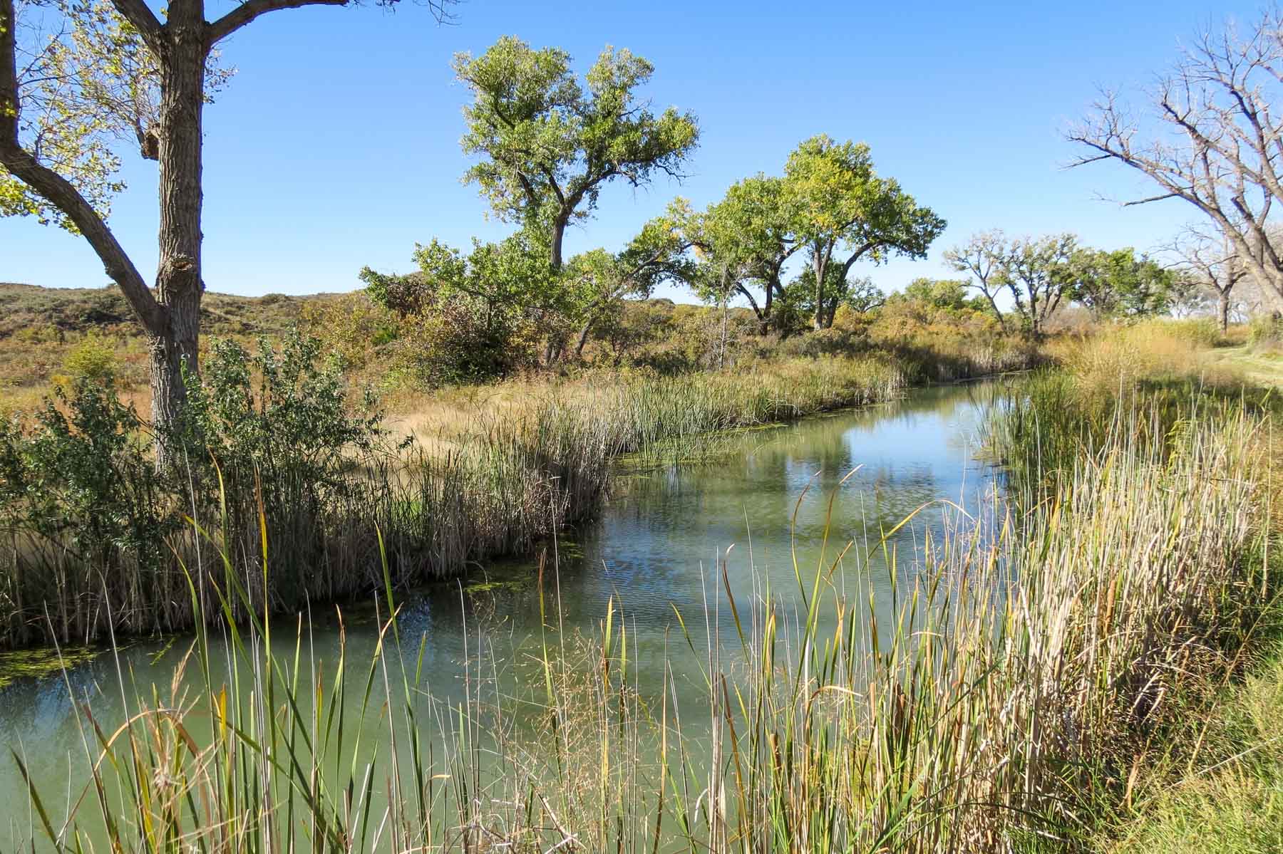 Mesa Vista East Division property picture 12 of 38