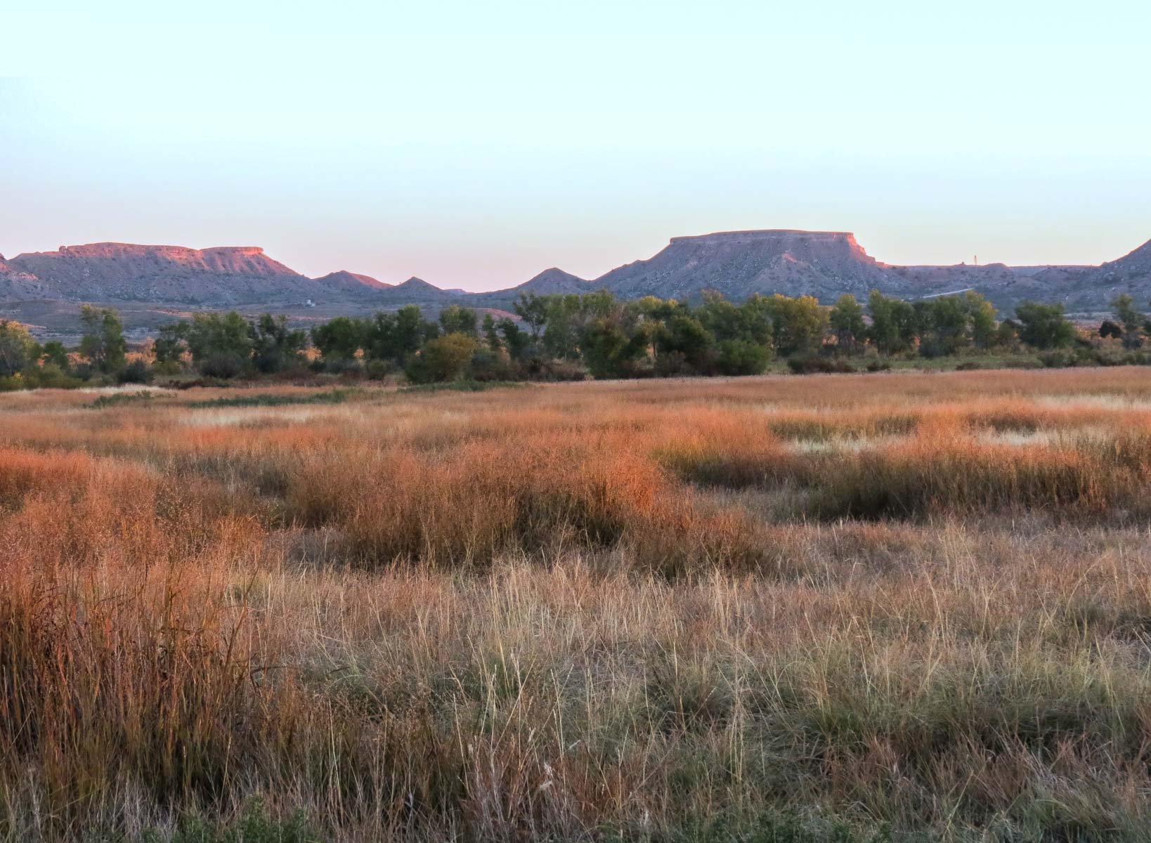 Mesa Vista East Division property picture 3 of 38