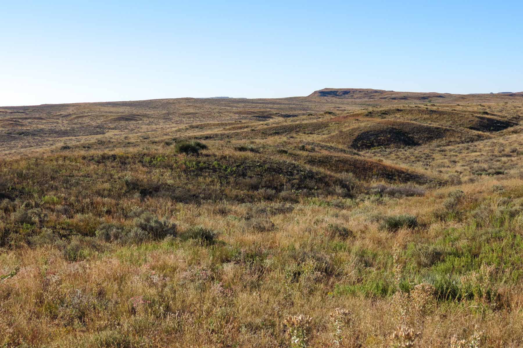 Mesa Vista East Division property picture 16 of 38