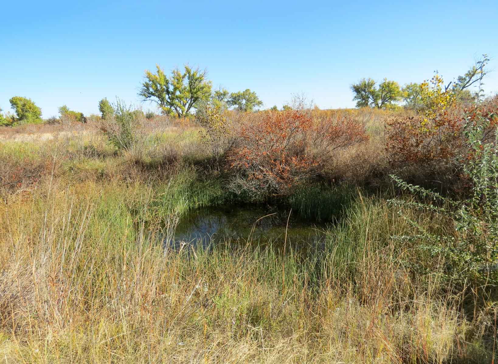 Mesa Vista East Division property picture 31 of 38