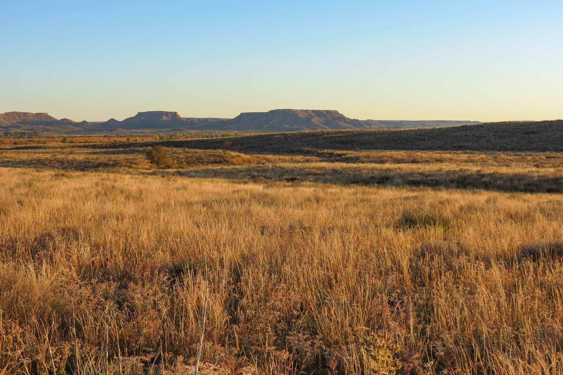 Mesa Vista East Division property picture 2 of 38