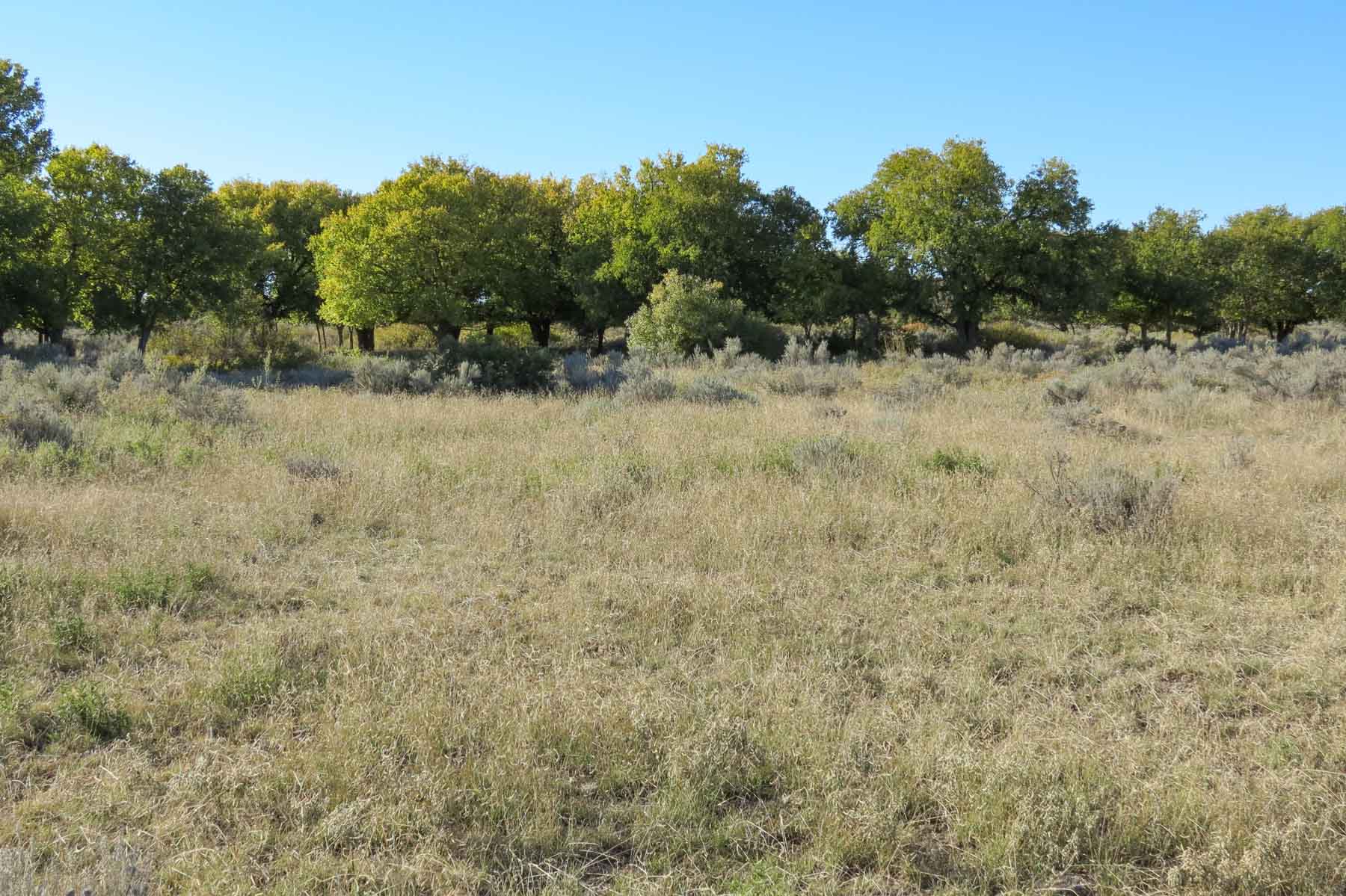 Mesa Vista East Division property picture 38 of 38