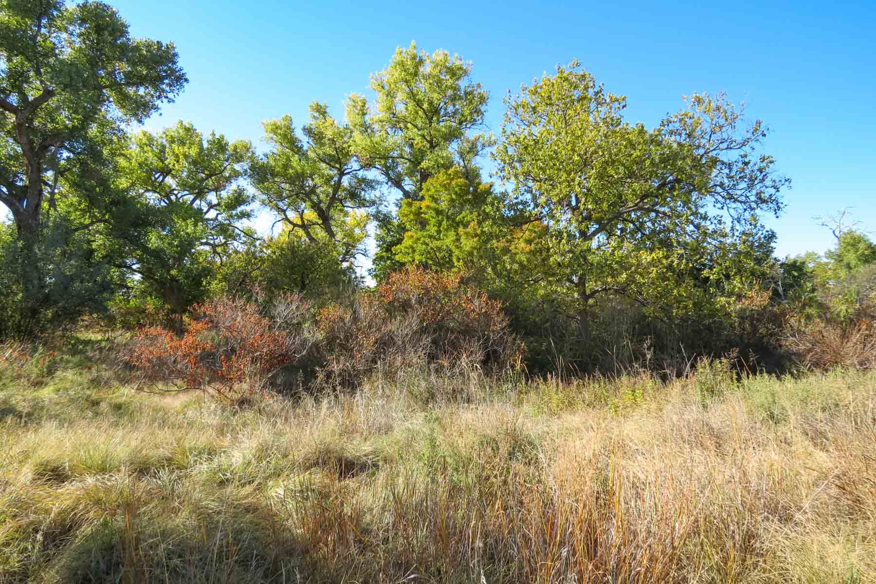 Mesa Vista East Division property picture 37 of 38