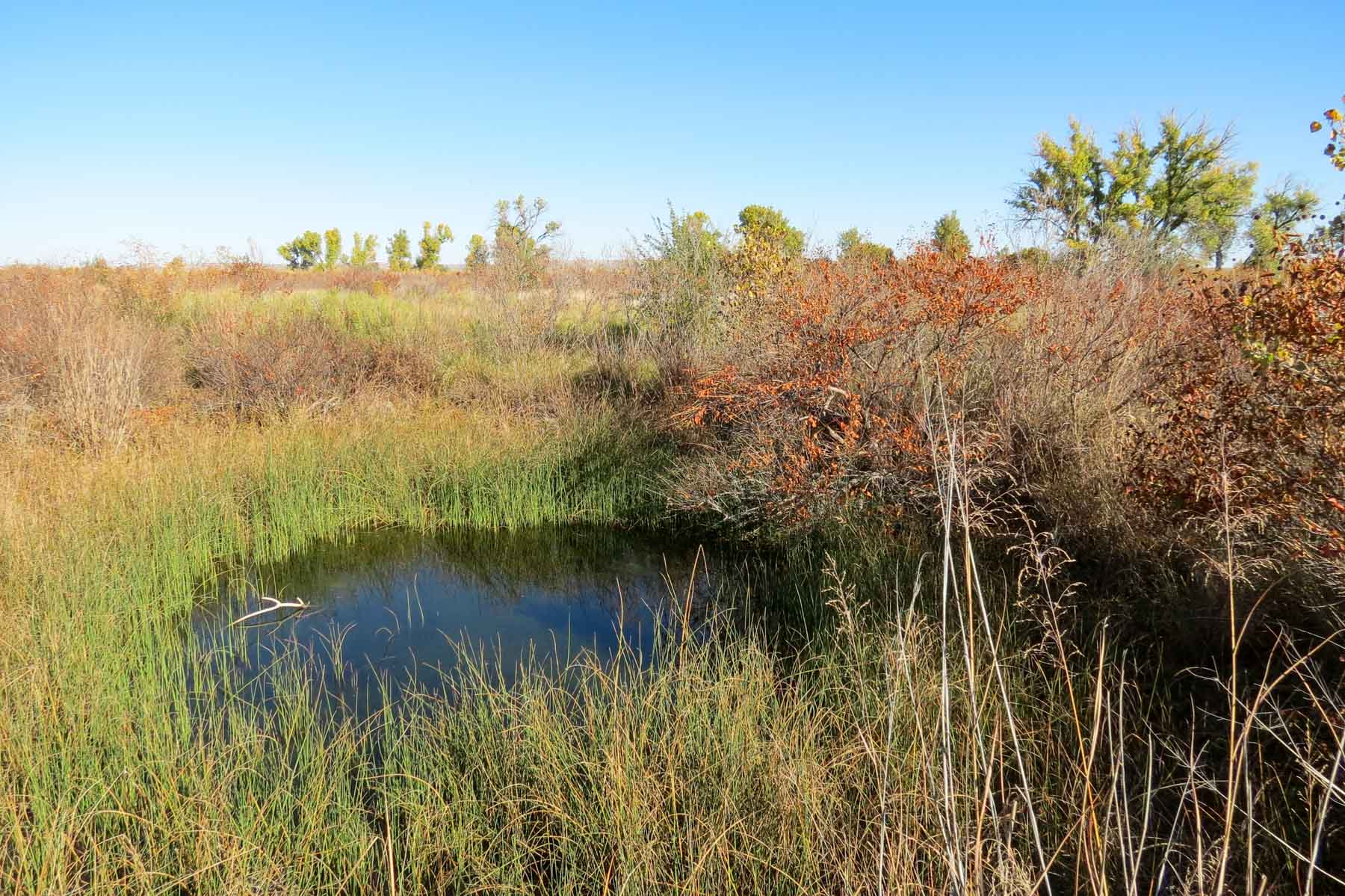 Mesa Vista East Division property picture 36 of 38