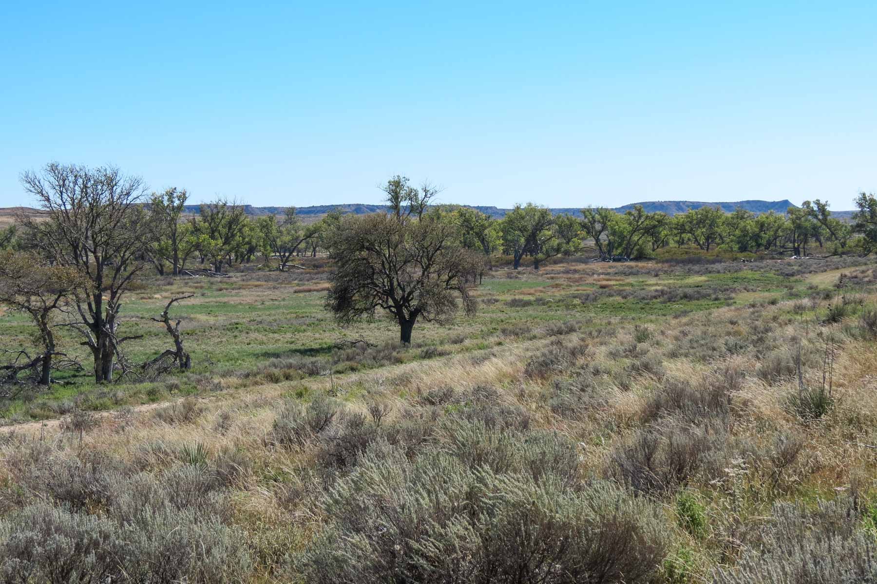 Mesa Vista East Division property picture 34 of 38