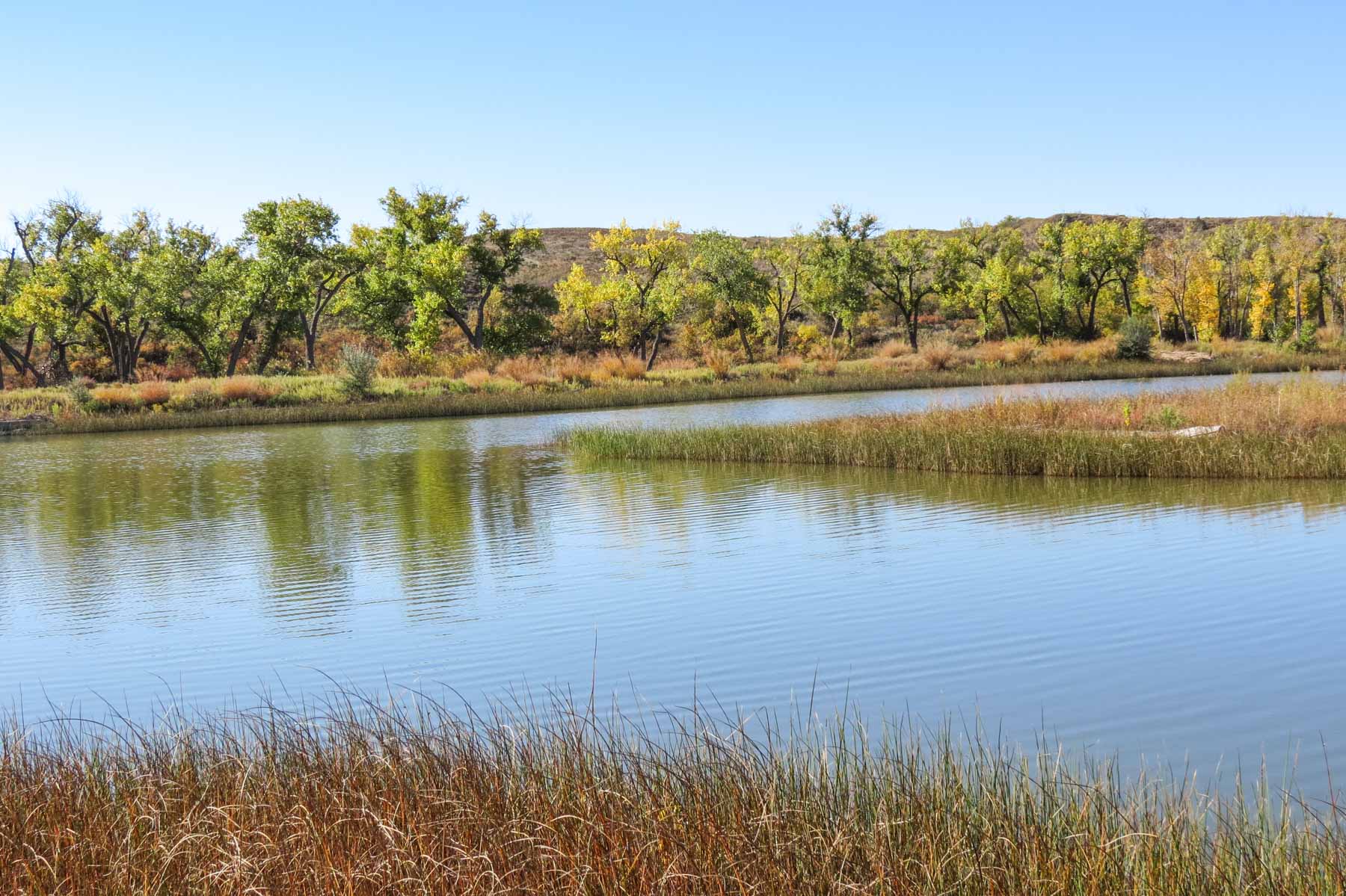 Mesa Vista East Division property picture 15 of 38