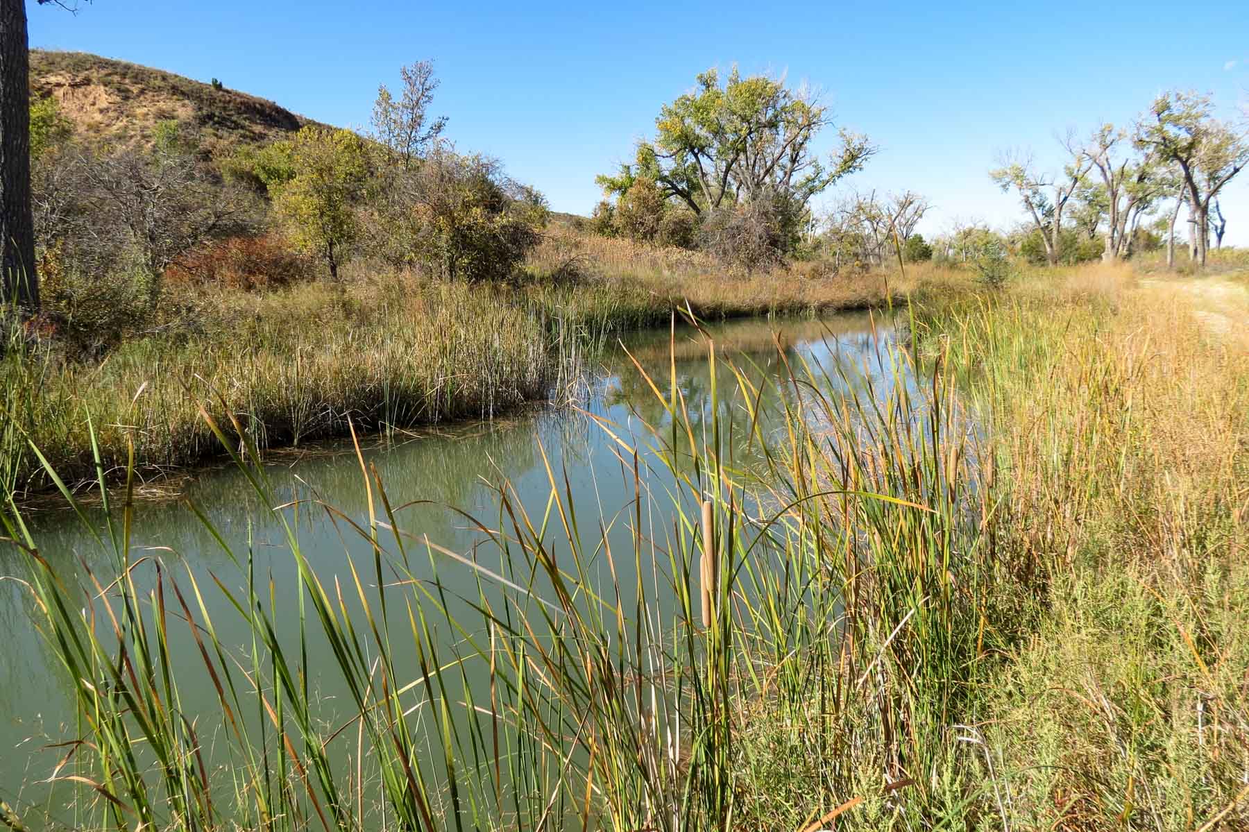 Mesa Vista East Division property picture 23 of 38