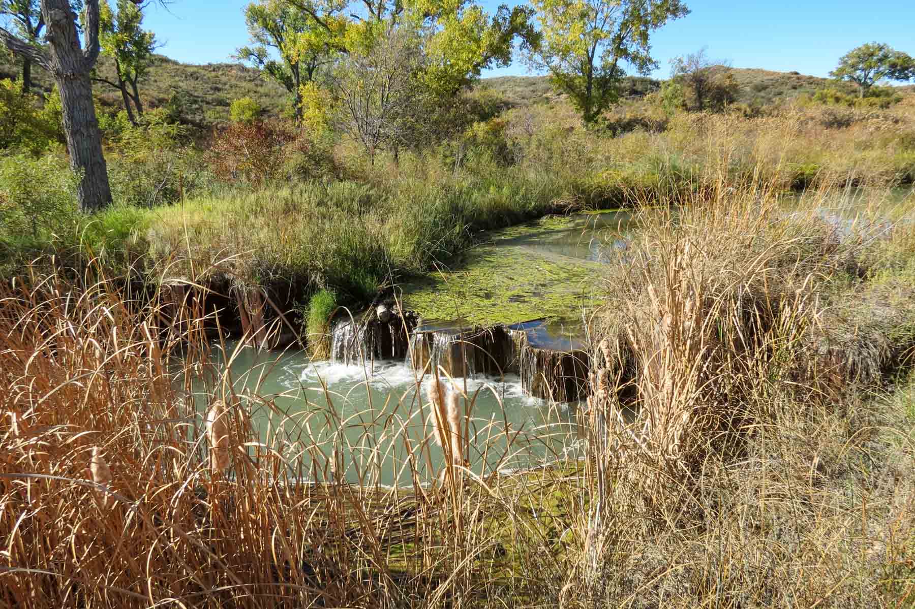 Mesa Vista East Division property picture 11 of 38