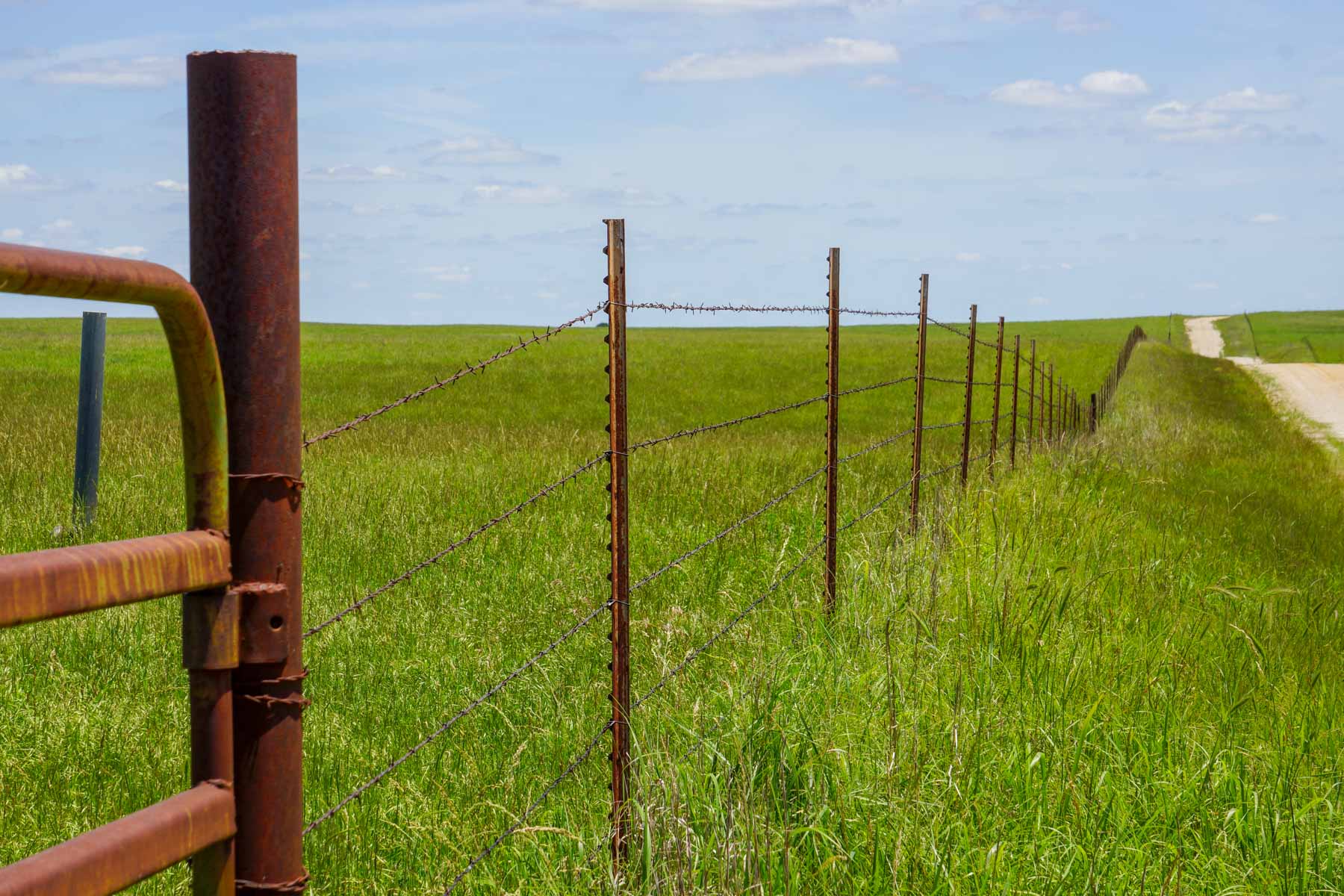 Spur Ranch property picture 12 of 18