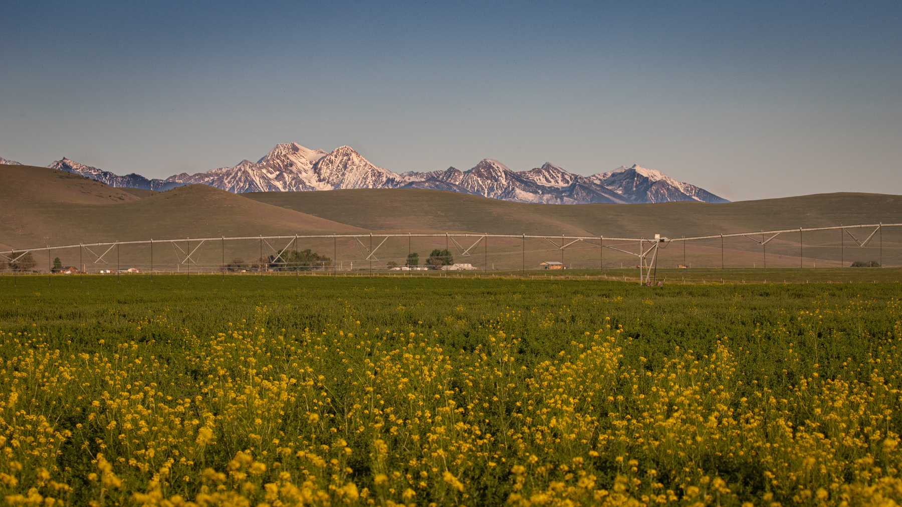 Valley View Ranch property picture 18 of 52