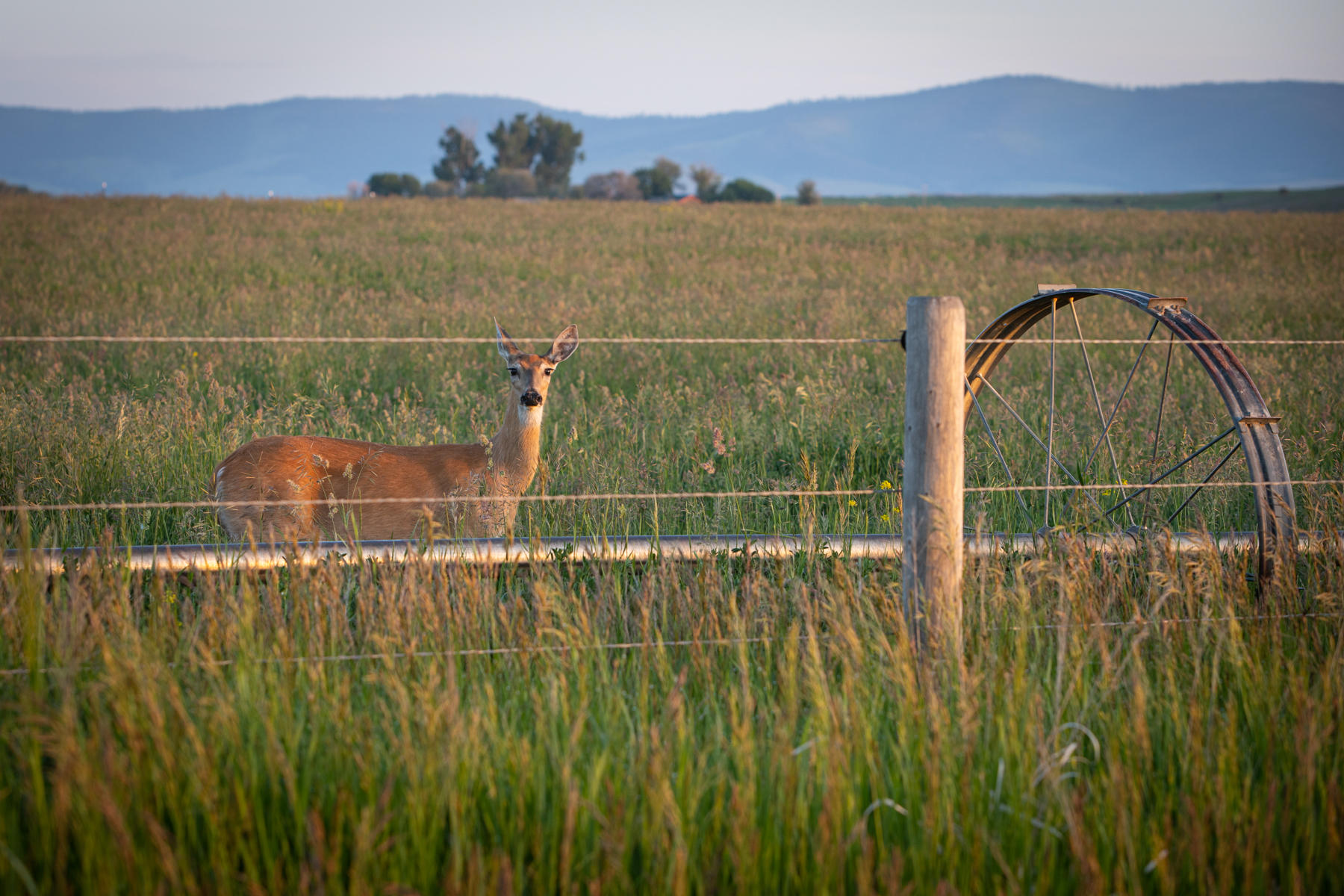Valley View Ranch property picture 50 of 52