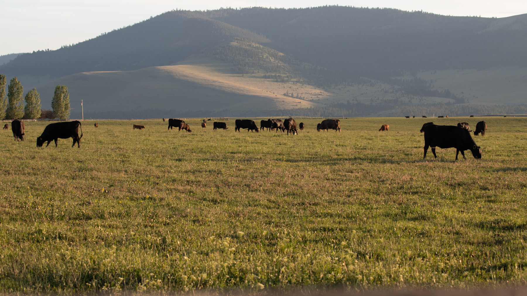 Valley View Ranch property picture 21 of 52
