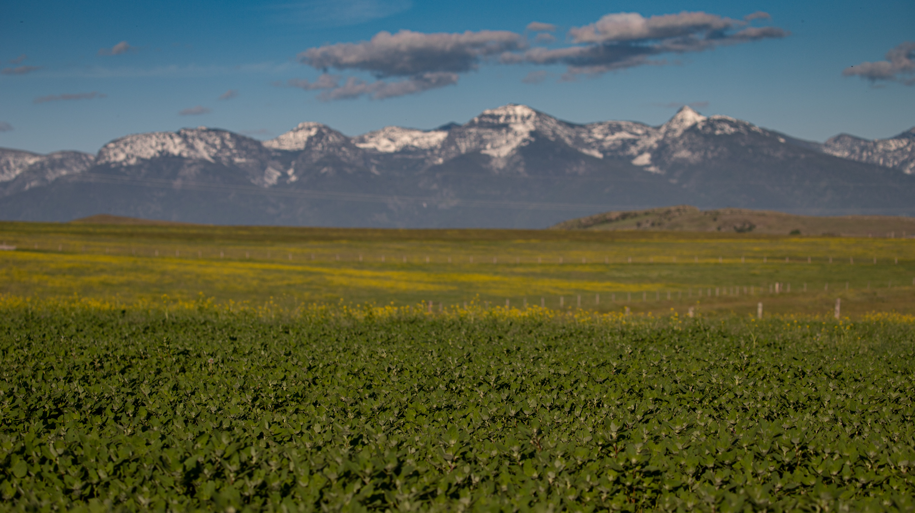 Valley View Ranch property picture 10 of 52