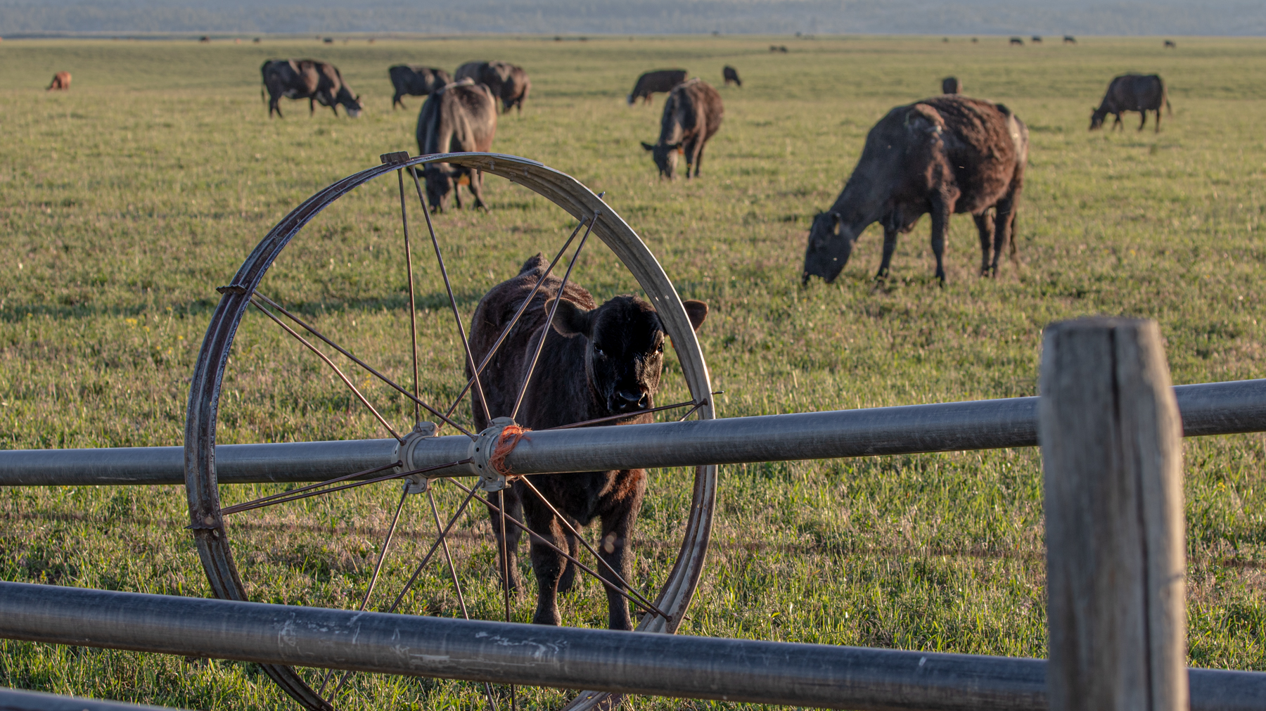 Valley View Ranch property picture 22 of 52