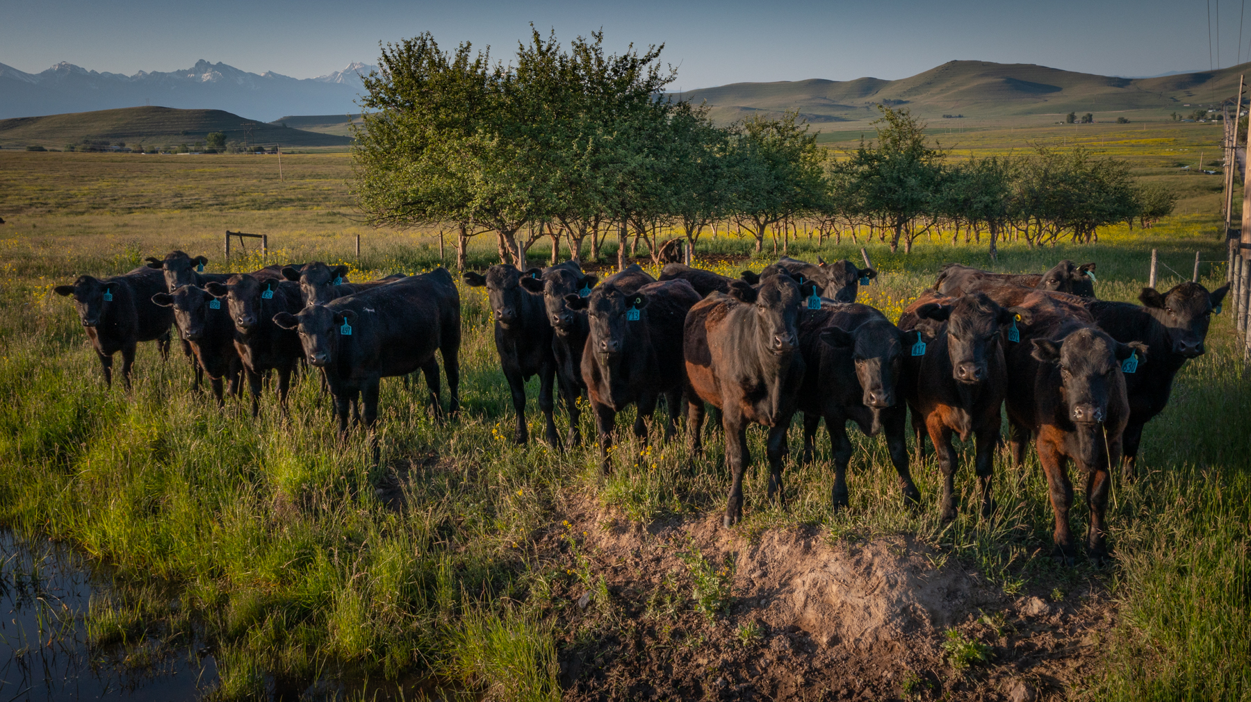 Valley View Ranch property picture 3 of 52
