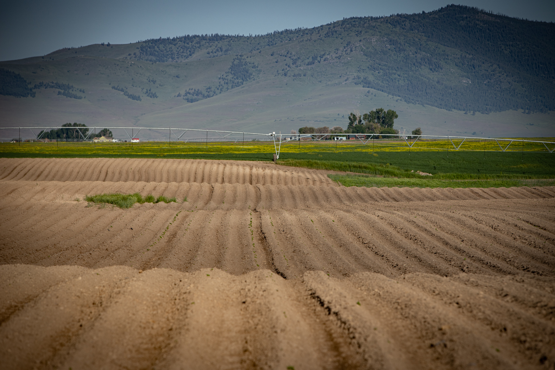 Valley View Ranch property picture 36 of 52