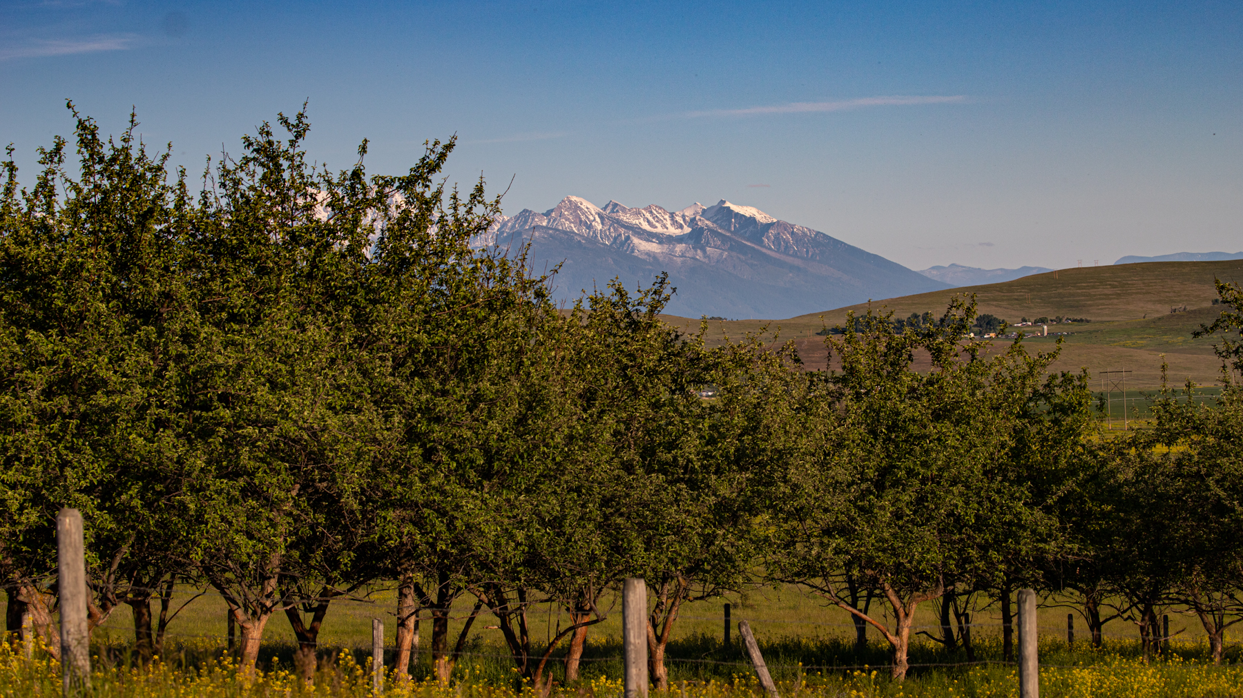 Valley View Ranch property picture 19 of 52