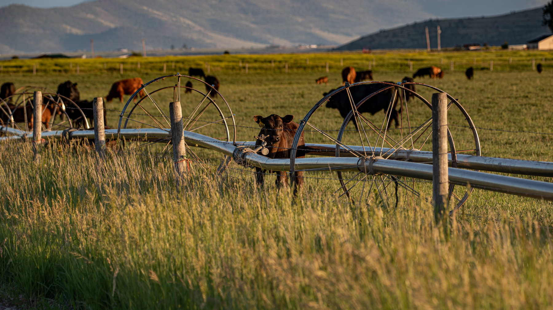 Valley View Ranch property picture 7 of 52