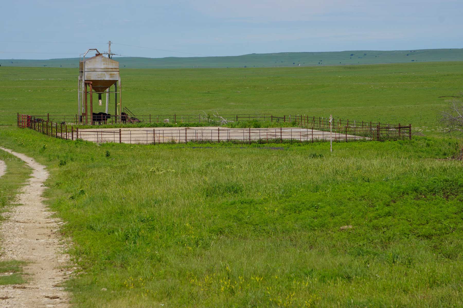 North Greenwood Ranch property picture 7 of 11