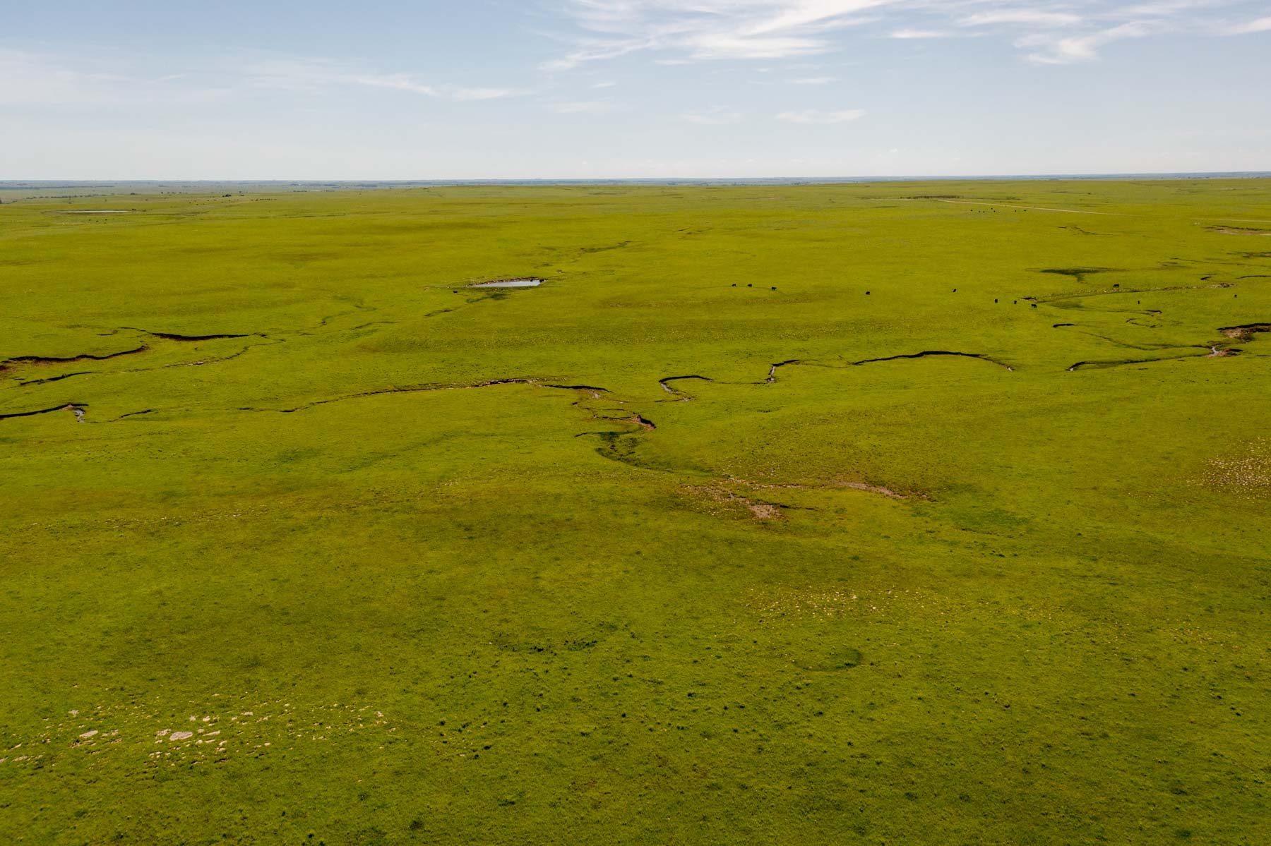 North Greenwood Ranch property picture 9 of 11