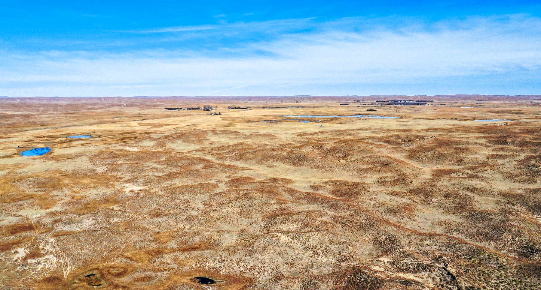 Pettit Ranch property picture 20 of 43