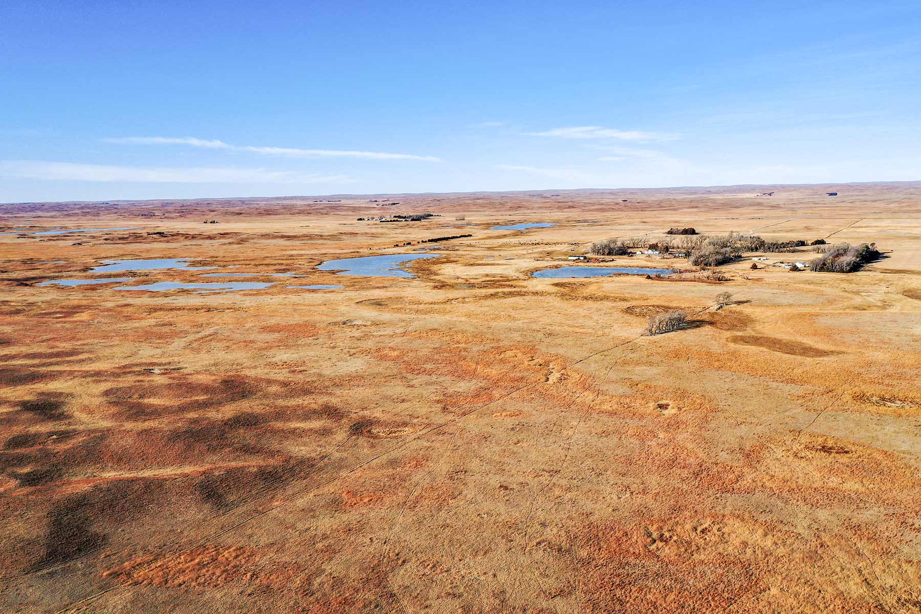 Pettit Ranch property picture 14 of 43