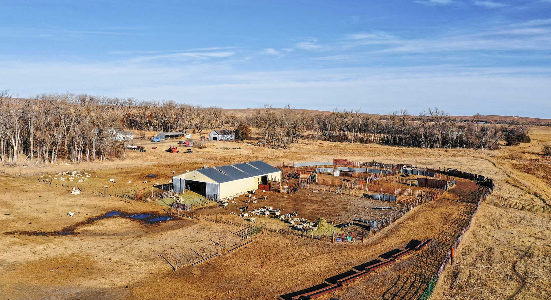 Pettit Ranch property picture 3 of 43