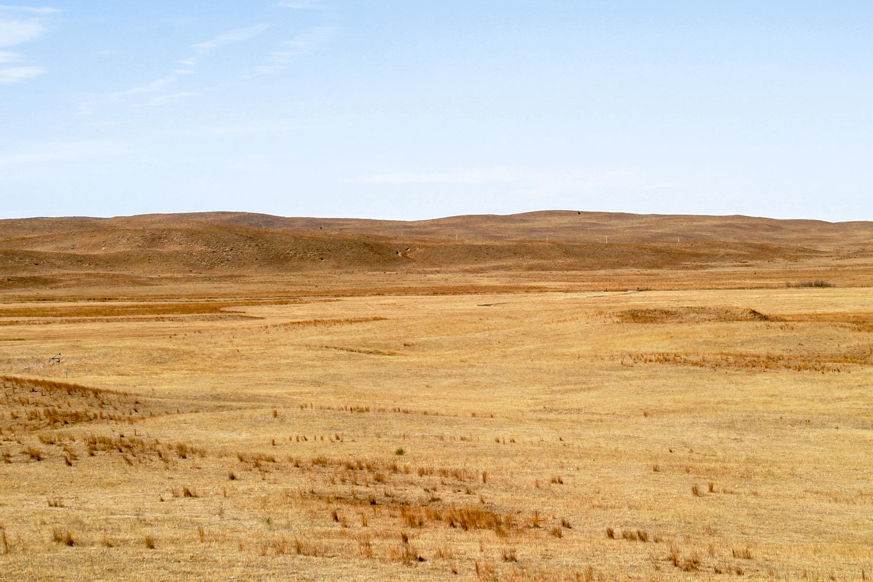 Pettit Ranch property picture 37 of 43