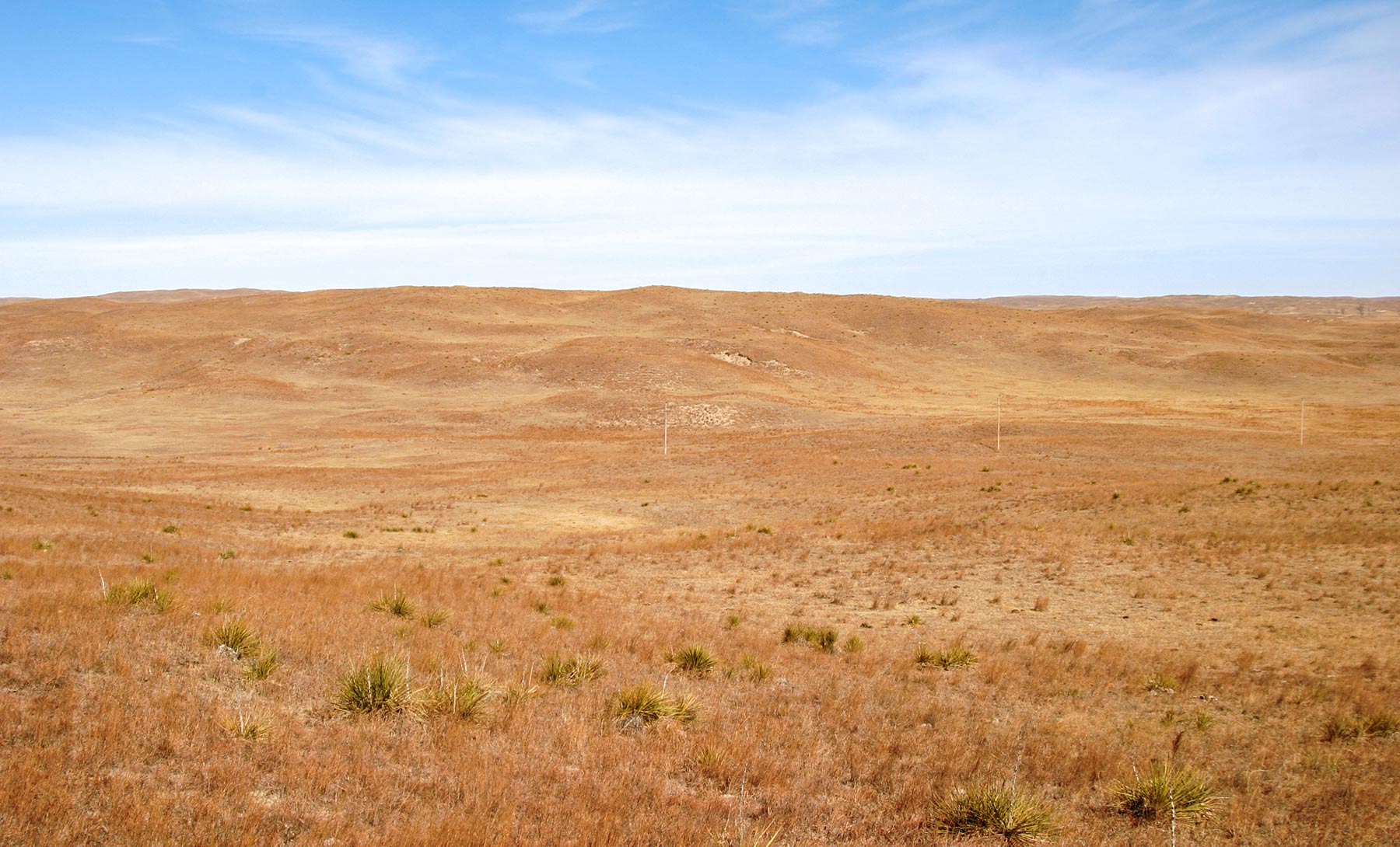 Pettit Ranch property picture 16 of 43