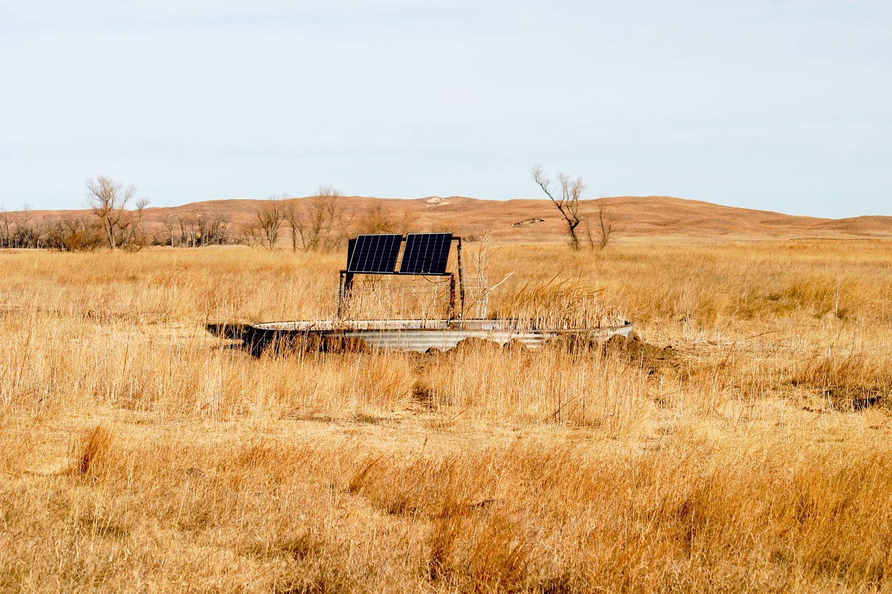 Pettit Ranch property picture 34 of 43
