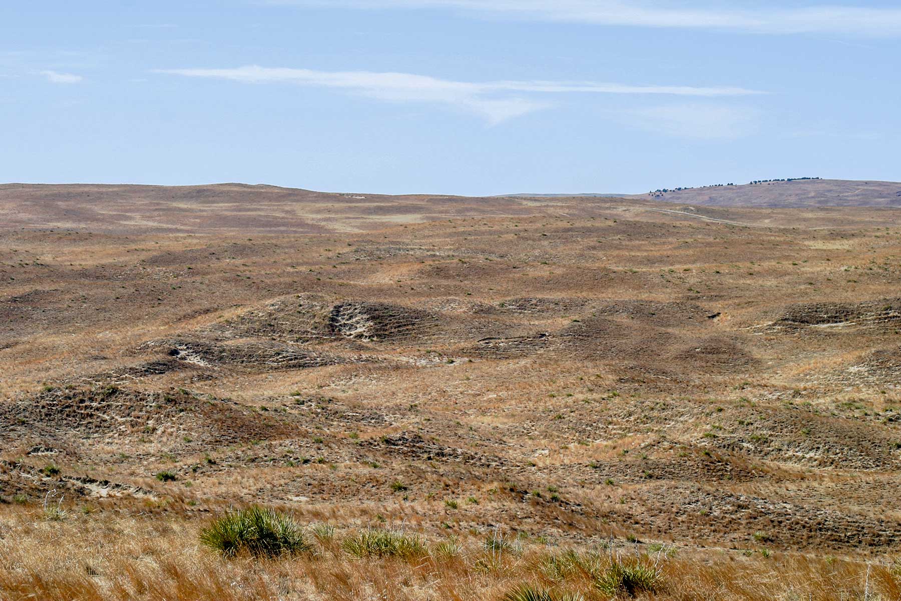 Pettit Ranch property picture 40 of 43