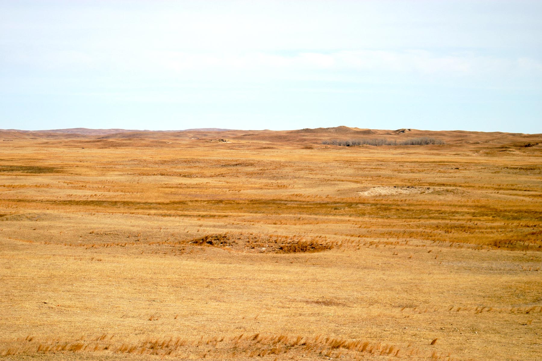 Pettit Ranch property picture 36 of 43