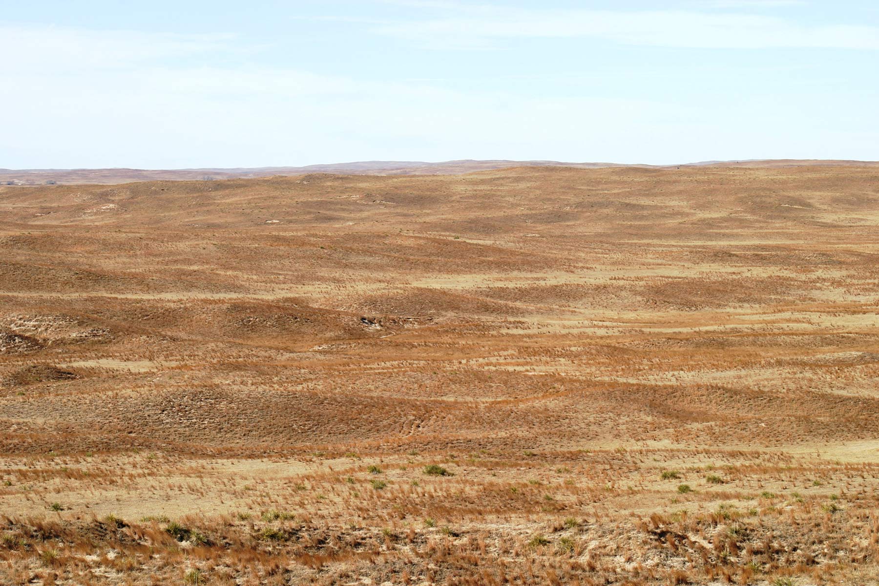 Pettit Ranch property picture 39 of 43